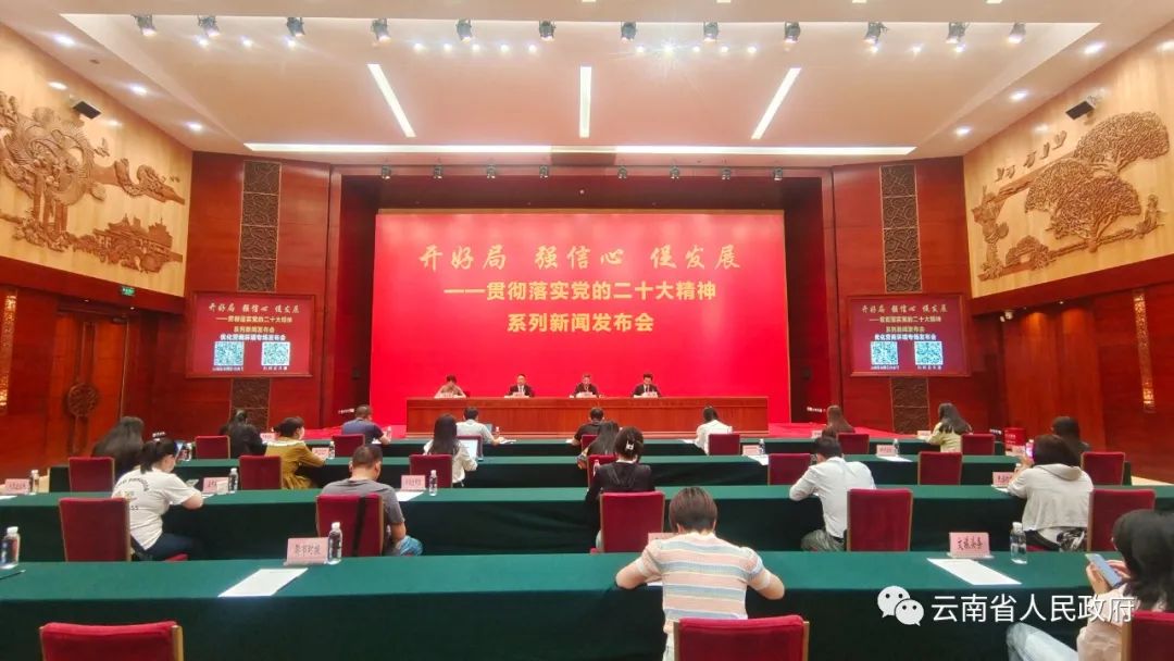 云南省2024年31534亿GDP，促进地方经济持续发展的关键举措_云南省促进经济发展的政策措施_云南省的经济支持是什么