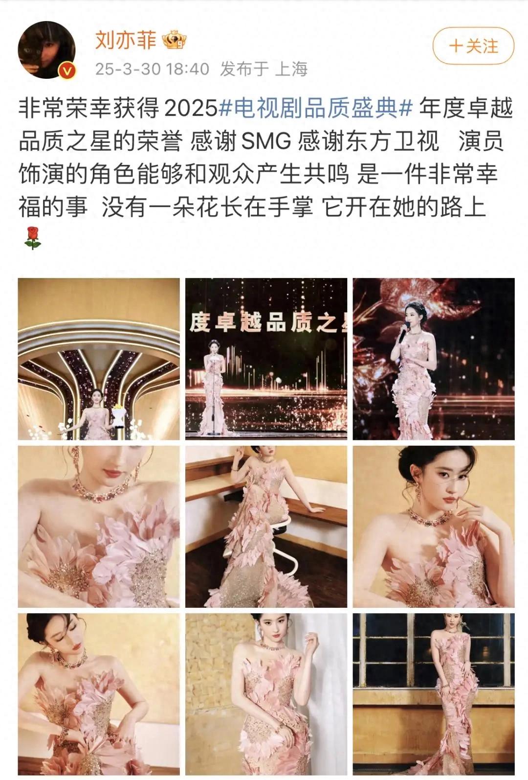 刘亦菲颁奖典礼_刘亦菲得奖记录_刘亦菲的荣誉与成就