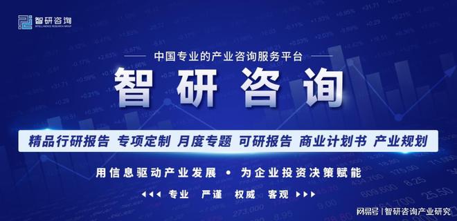 一加的品牌战略与市场发展前景_品牌前景分析_战略前景怎么写