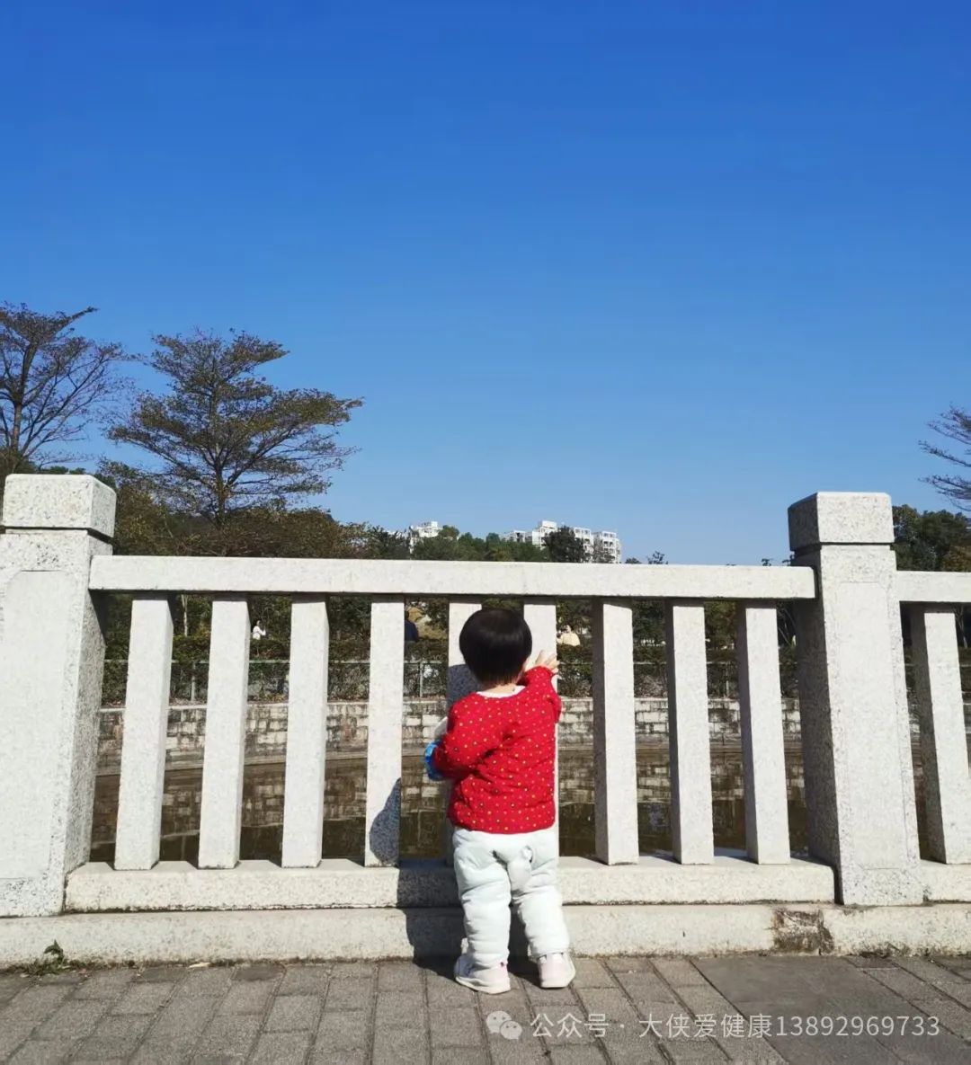 胖东来的供应链策略：兼顾价格与质量_胖东来的供应链策略：兼顾价格与质量_胖东来的供应链策略：兼顾价格与质量