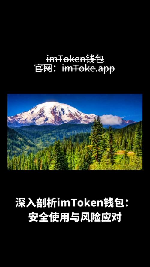 imToken钱包官网下载的使用案例分析，让您从中借鉴成功的投资经验与策略。_钱包借app安全可靠吗_钱包借app安卓版