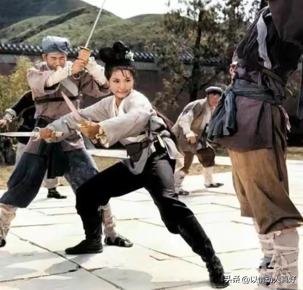 李连杰赵文卓对打_赵文卓与李连杰的银幕搭档_李连杰和赵文卓的电影