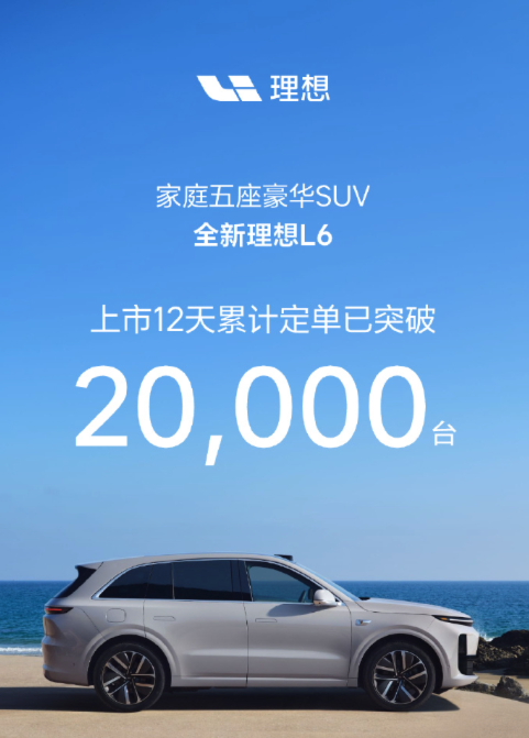 市场接受度低_市场接受度分析_Pura系列在国际市场的接受度