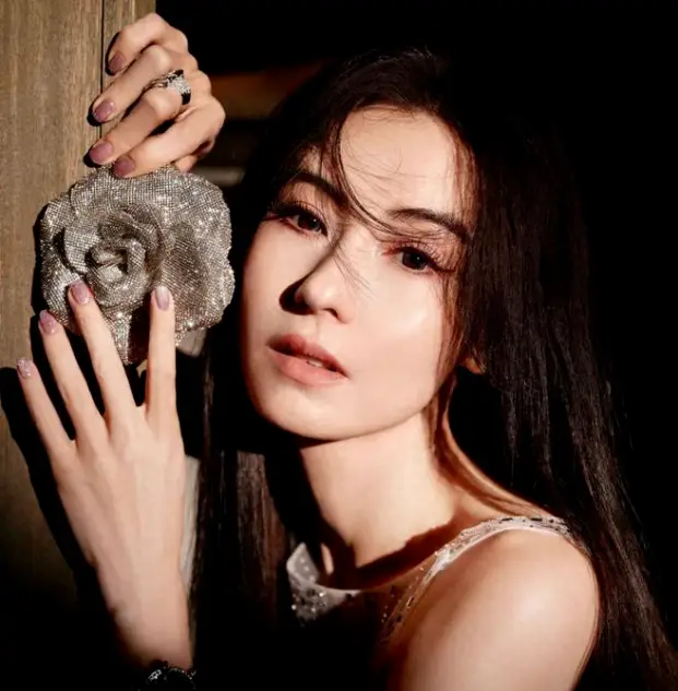张拍芝生活图片_张柏芝综艺节目生活_张柏芝的情感生活与爱情故事