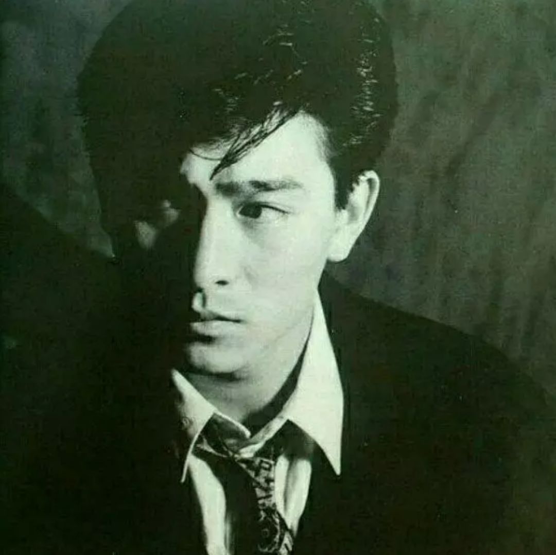 刘德华的影视作品与社会价值_刘德华对社会的影响_刘德华价值观