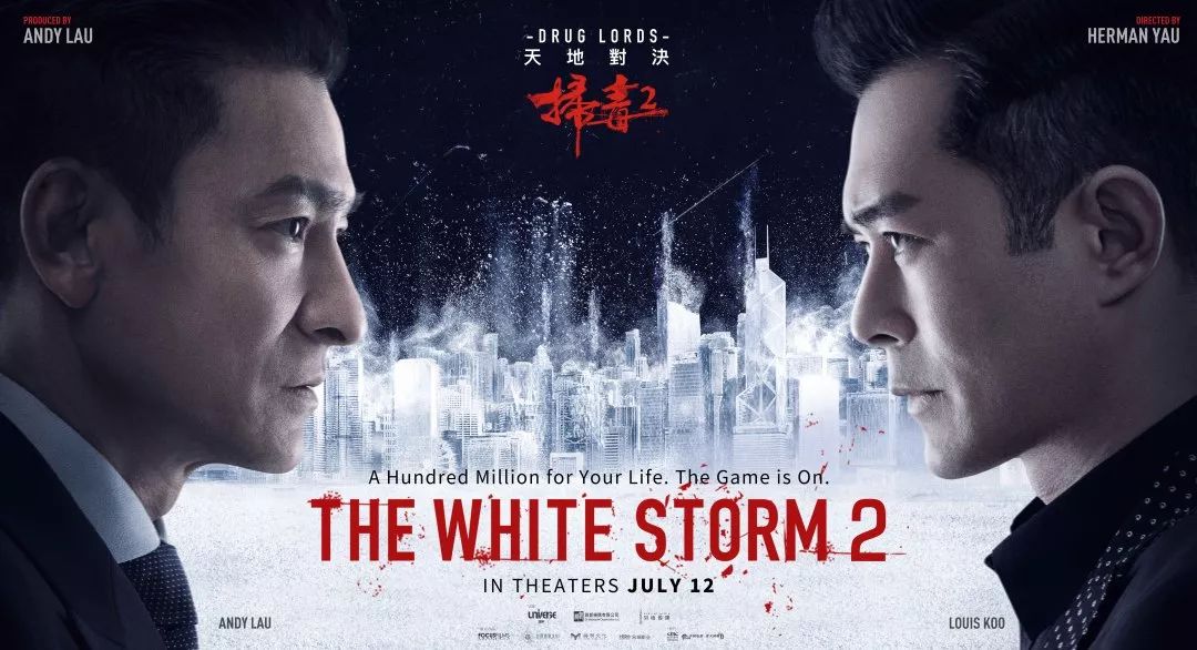 刘德华社团电影_刘德华的影视作品与社会价值_刘德华价值观