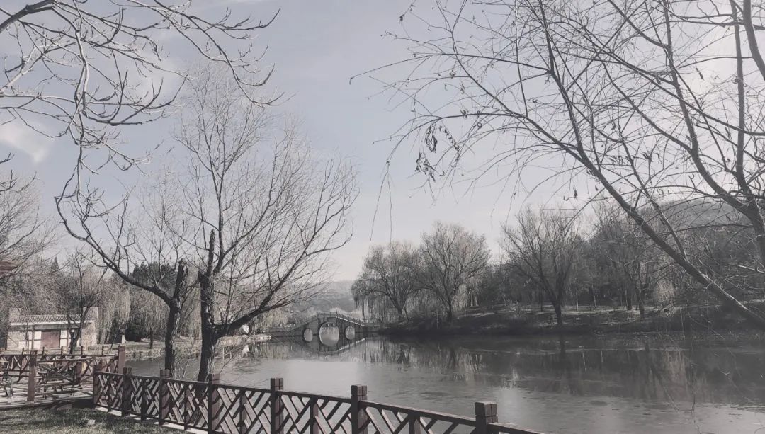 成龙：不断追逐梦想的英雄_成龙追梦好莱坞_成龙的梦想